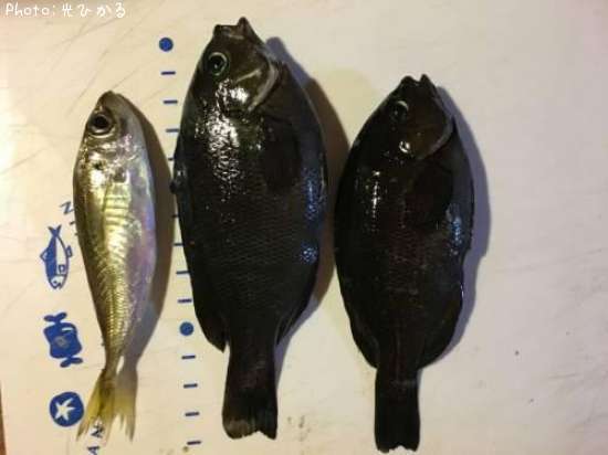 ���졢����