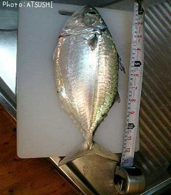 ���륯�ޡ�