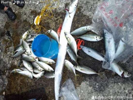 �ϥ��ĥ�¿��