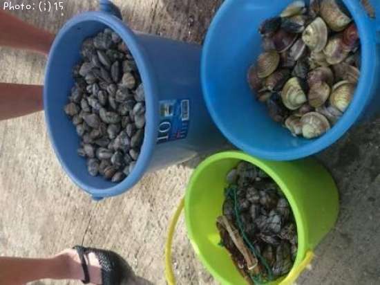 �ϥޥ��ꡢ������