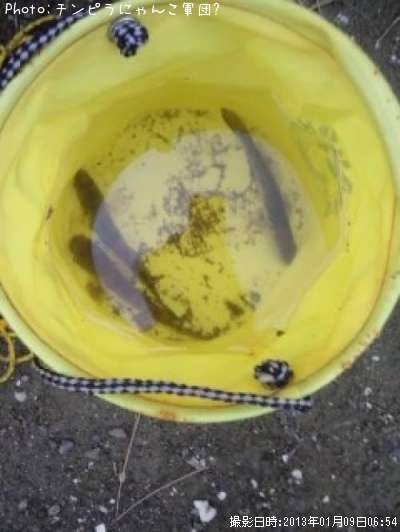 �ϥ������