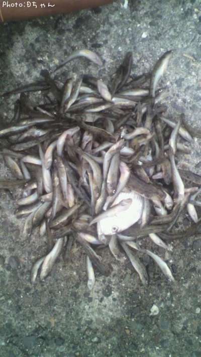 �ϥ������󥿡����ʤ�