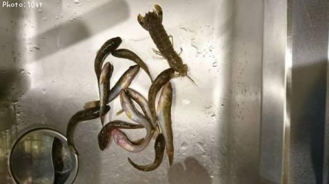 �ϥ������㥳