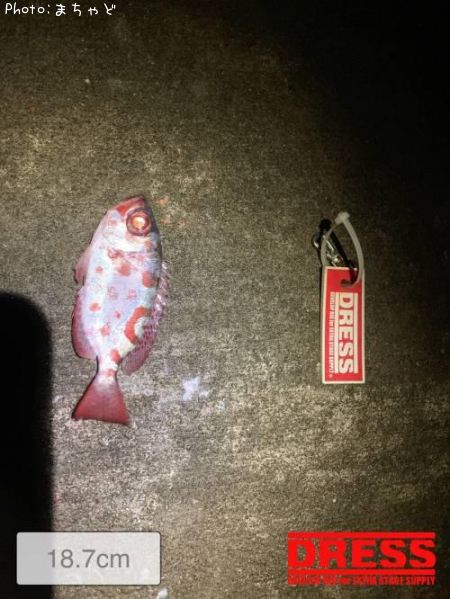 �ҡ����ڥ��ޥҥ쥭��ȥ���