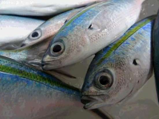 �ҥ顼���륯��ڥ��������