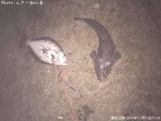 �ҥ�ᡢ�ޥ���