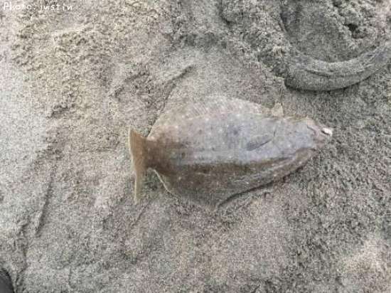 �ҥ�ᡢ�ޥ���