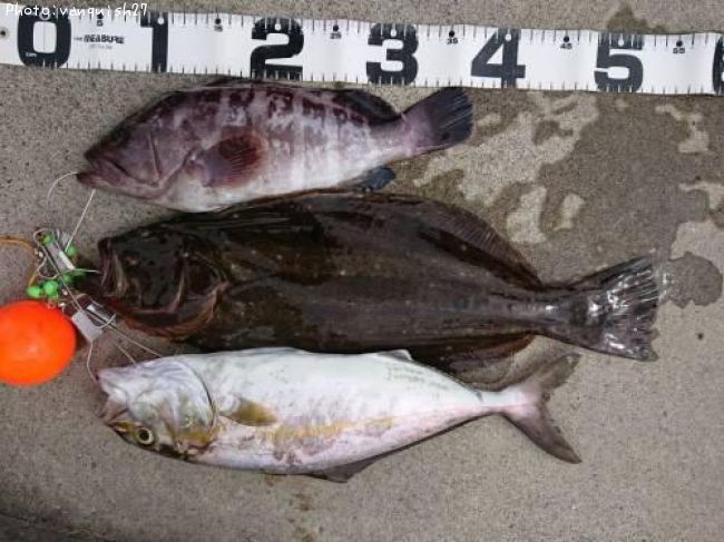 �ҥ����ޥϥ�