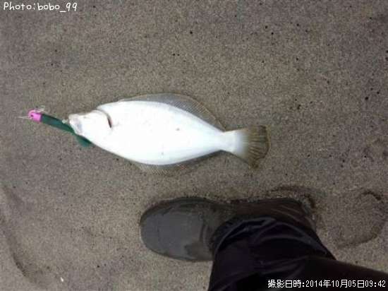 �ҥ�ᡡ�ڥ�����