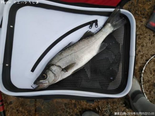 �ҥ饻����