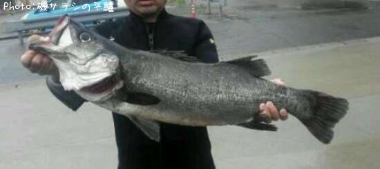 �ҥ饹����