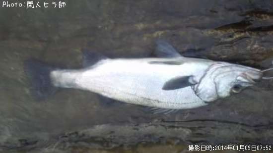 �ҥ饹����