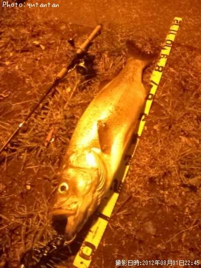 �ҥ饹����