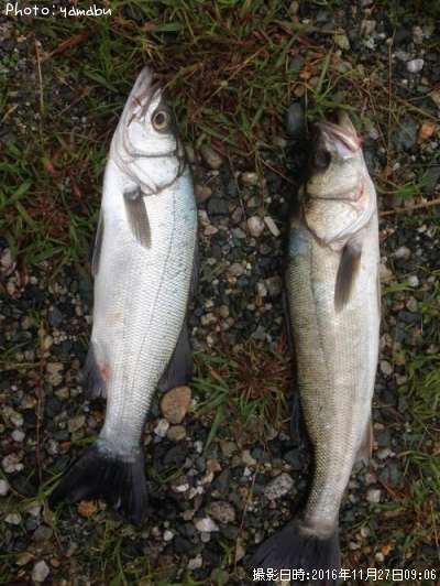 �ҥ饹����