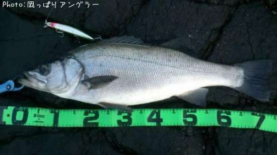 �ҥ饹����