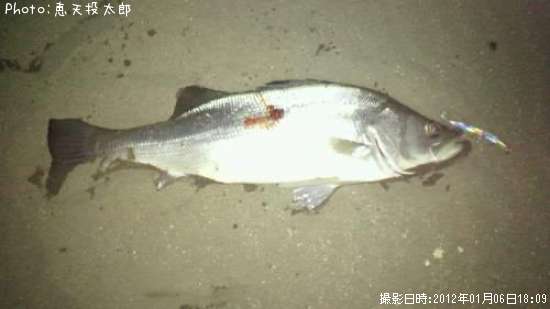 �ҥ饹����