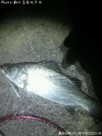 �ҥ饹����