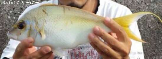 �ҥȥ������ޥ�����