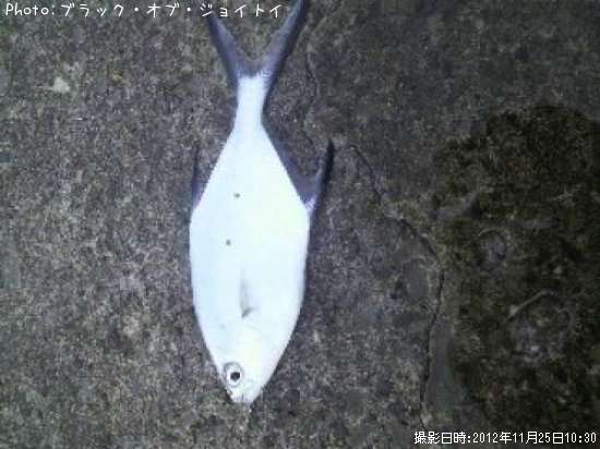 �������ĥ�