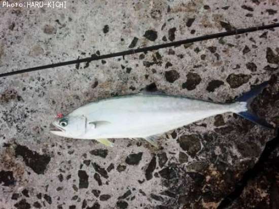 �������ĥ�