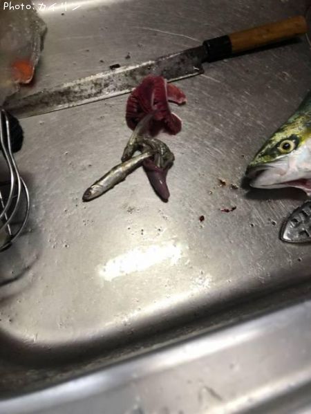 ���ʥ������亮