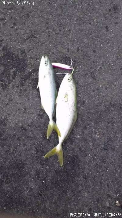 ���ʥ�������ѥ�