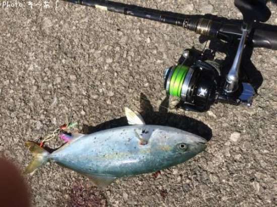 ���ʥ��ʥ��å���