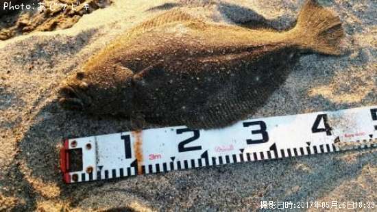 ���ʥ��ȥҥ��