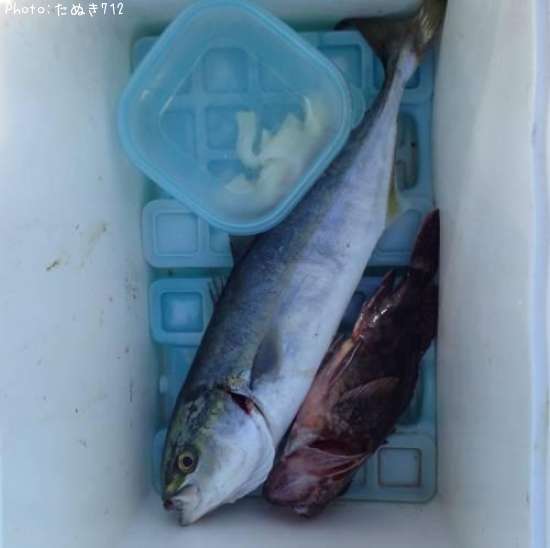 ���ʥ��ȥ�����