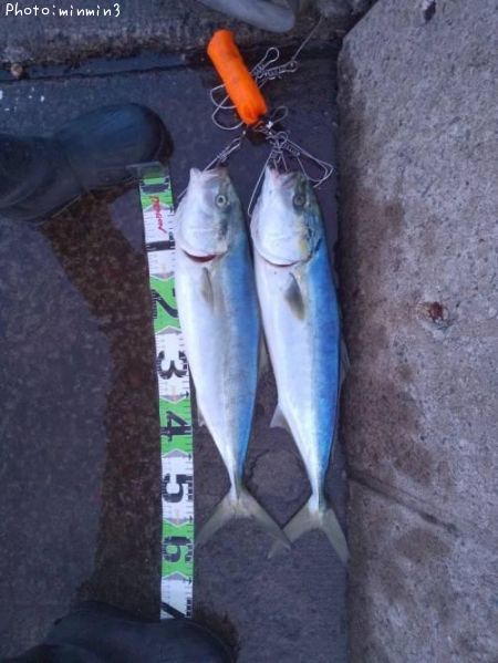 ���ʥ�����饵