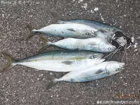 ���ʥ�����饵