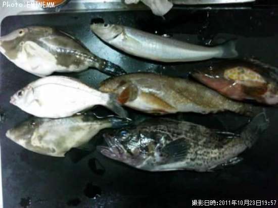 ��������