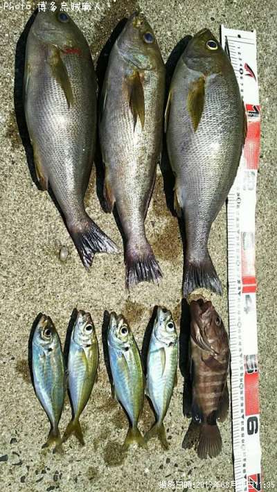 ���������ޥϥ�������