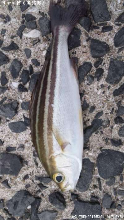 �������λ�