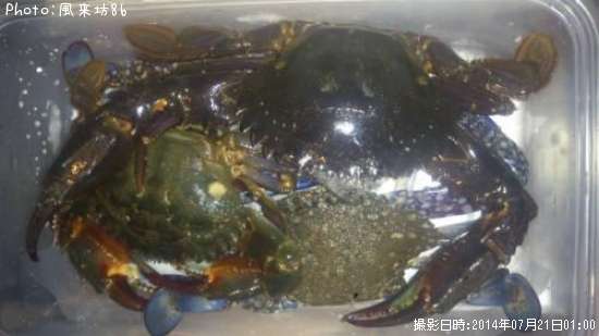 �������ˡ�������󥬥���