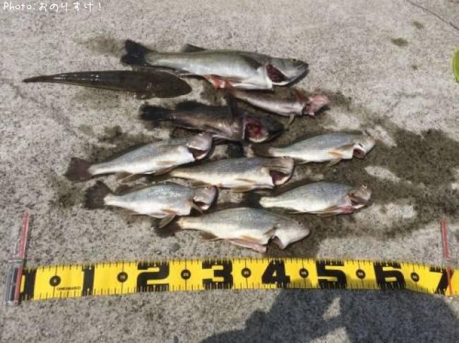 ��������������Х���¾