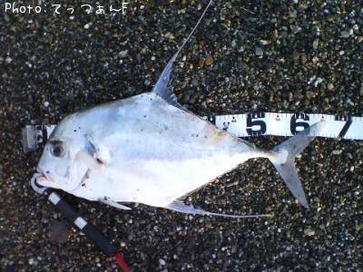 ���ȥҥ��������