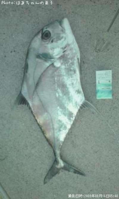 ���ȥҥ�����