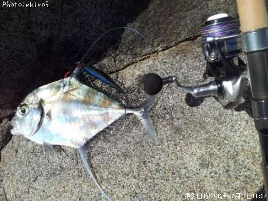 ���ȥҥ�����