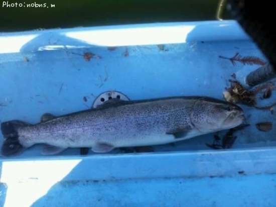 ���ȥ�