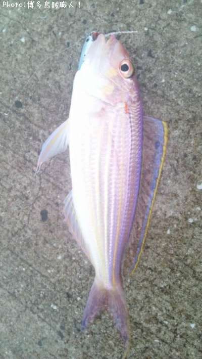 ���ȥ�����