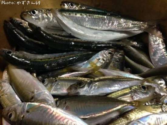 ���亮������