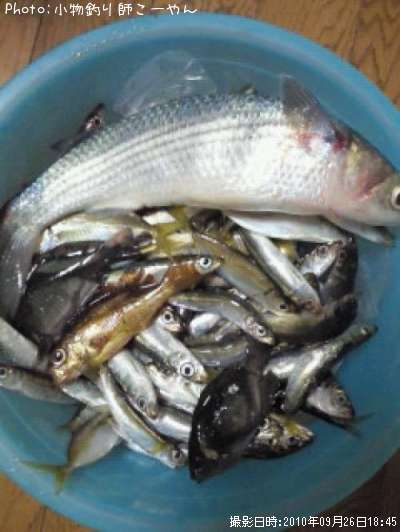 ���亮��������