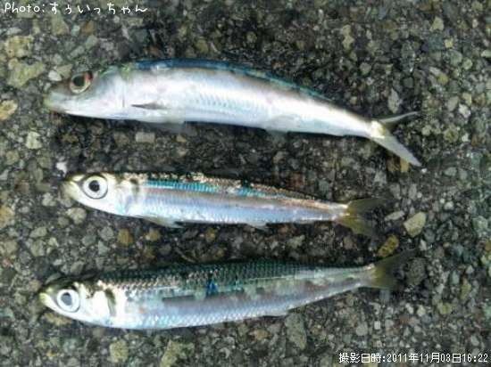 ���亮����