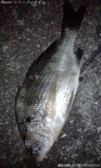 Ʊ�������������Ӽ��ʾС�