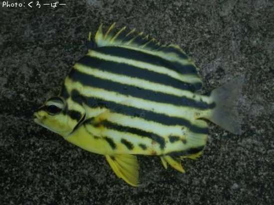 ������������