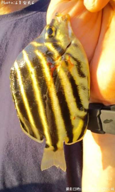 ������������