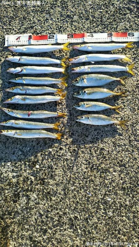 ���ޥ�������