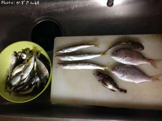 ���ޥ����������䡢�ϥ������С���Х�