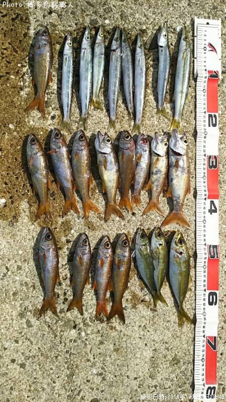 ���ޥ�����ġ�����